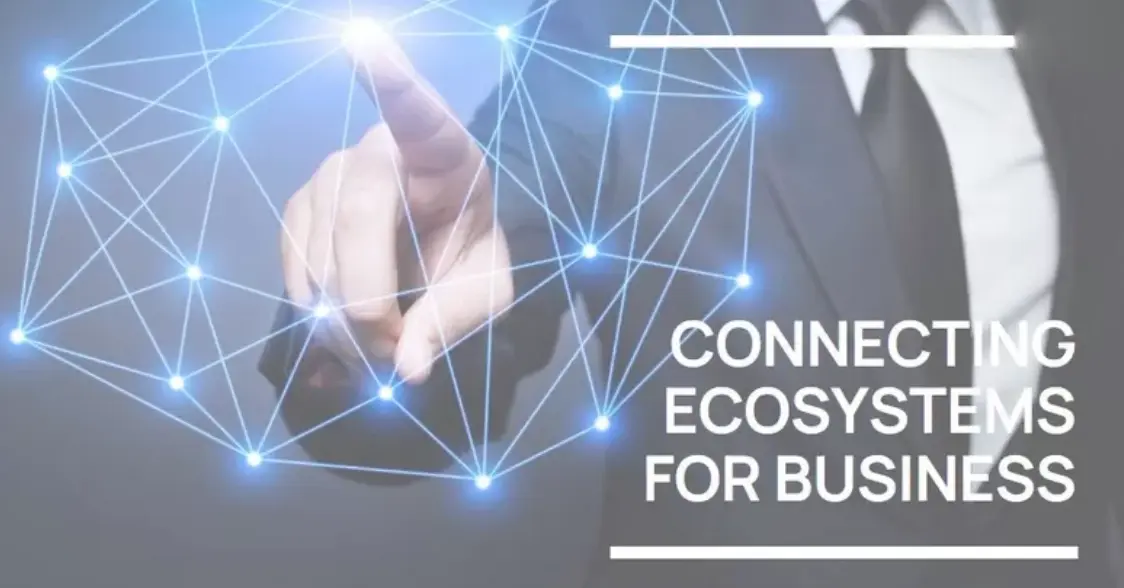 Integrated Business Ecosystem